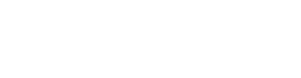 Experience
