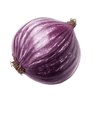 Onion